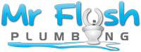 Mr Flush Plumbing